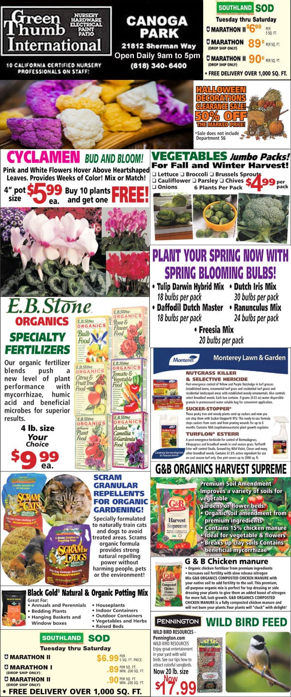 The front page of the flower international magazine features the best nursery near me.