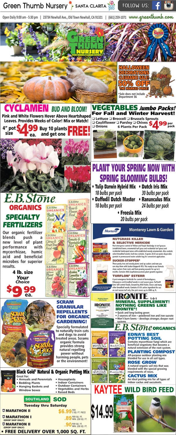 The front page of a newspaper featuring a plant nursery.