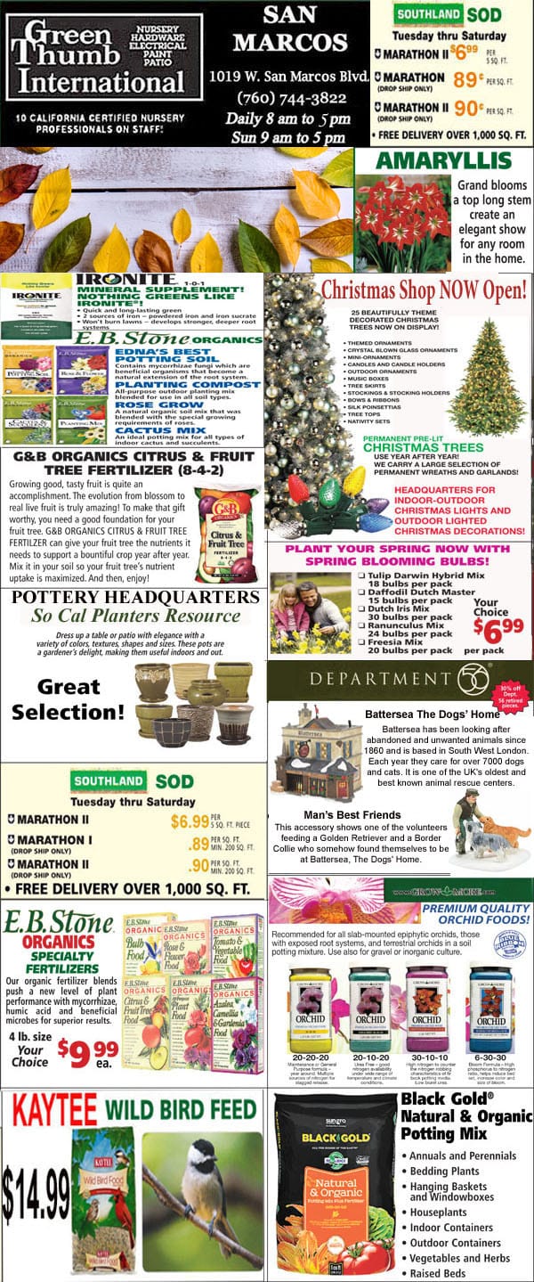 A flyer showcasing the best variety of items for sale at a garden center near me.