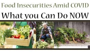 Discover how a top-rated Southern California garden center can help address food insecurities during the ongoing COVID-19 pandemic.