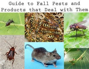 Guide to fall pests and products at a plant nursery near me.