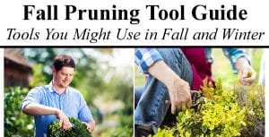 Fall pruning tool guide at a garden center near me.