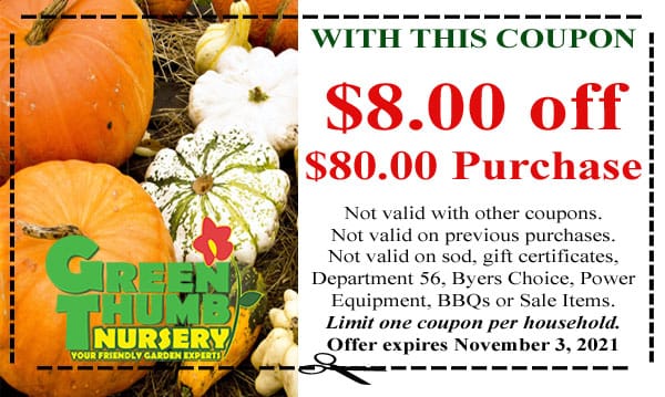 A green nursery coupon with pumpkins and pumpkins near me.