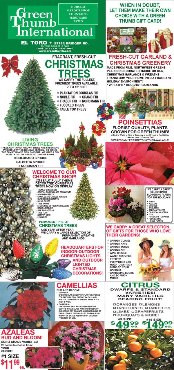 Green garden center's international Christmas tree catalog.