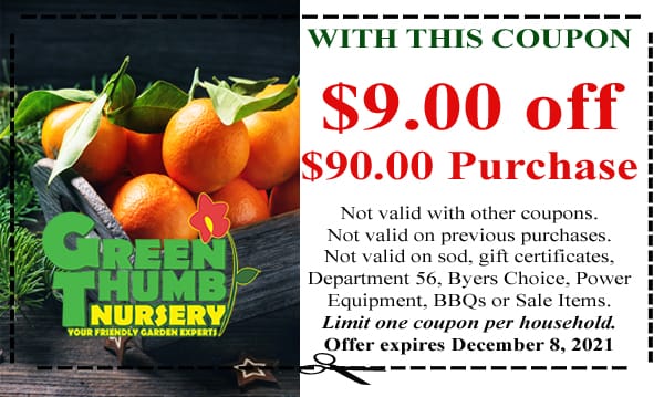 A coupon for a green nursery with oranges.