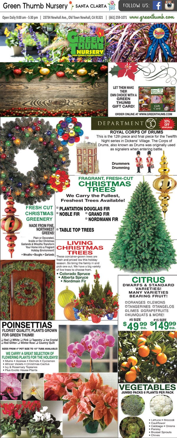 A newspaper featuring a picture of a Christmas tree from the best plant nursery near me.