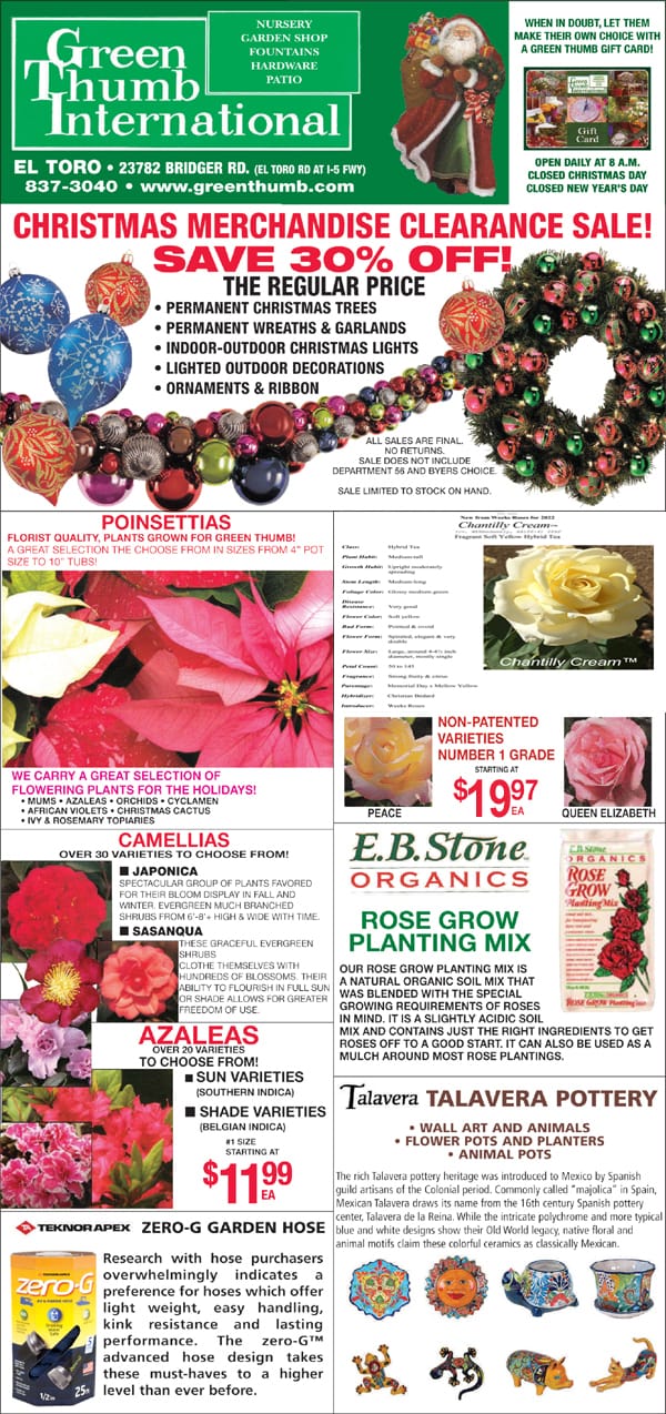 Green international christmas merchants clearance sale at the best plant nursery near me.