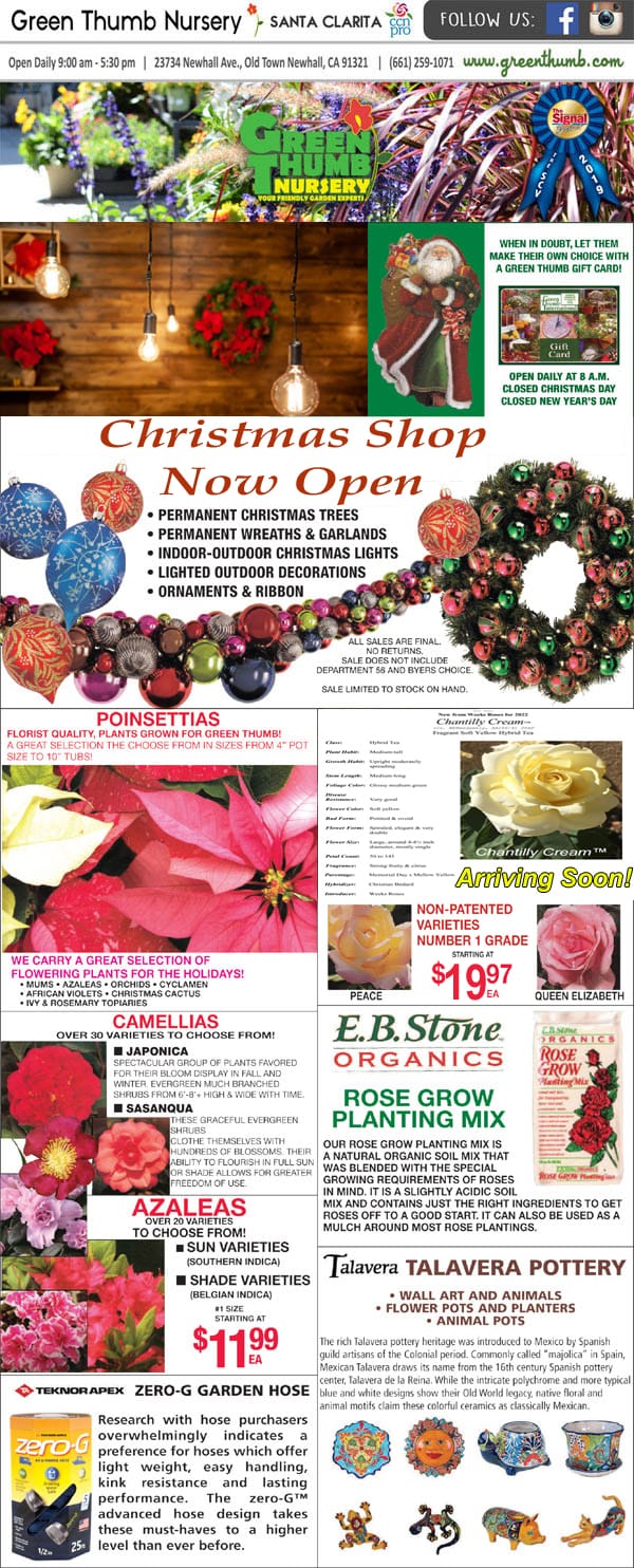 The front page of a Christmas magazine featuring the best nursery near me.