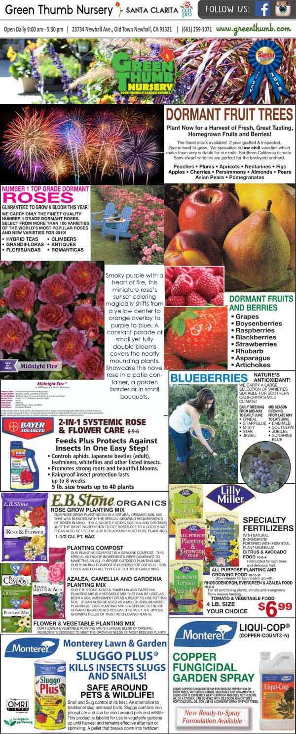 The front page of the greenthumb news featuring the best plant nursery near me.