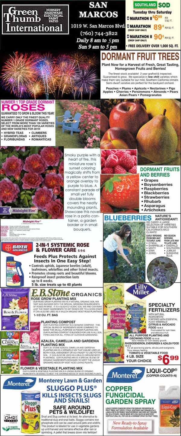 The front page of the international newspaper with prominent coverage of French news.