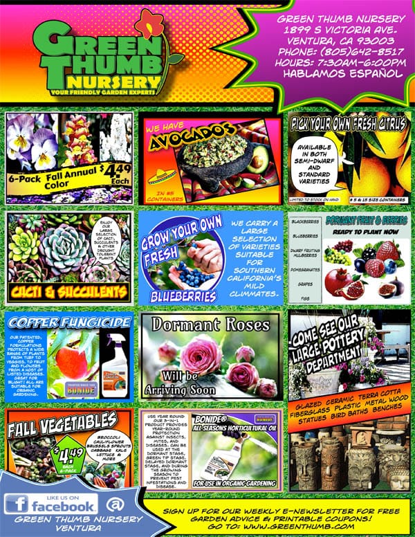 A flyer for the best plant nursery near me.