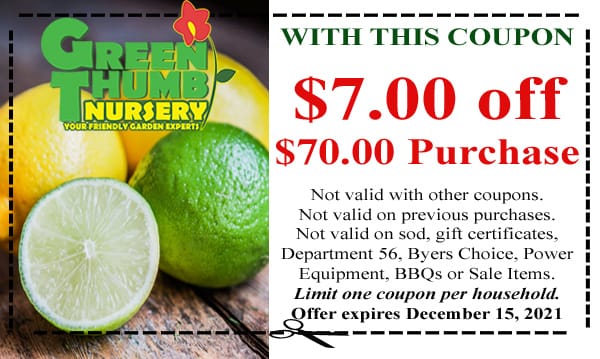 A greenthumb coupon for a plant nursery near me with limes and lemons.