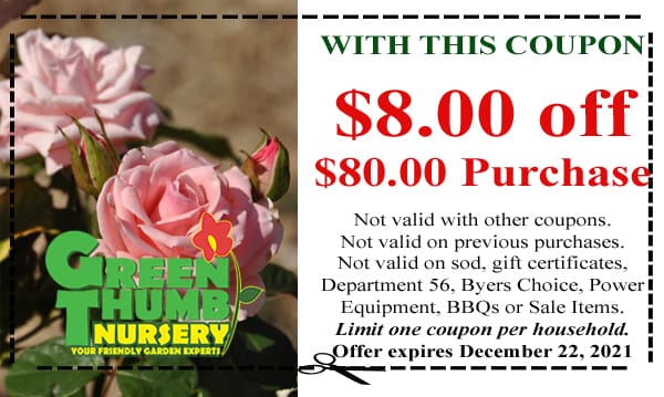 A green nursery coupon at the best garden center near me.