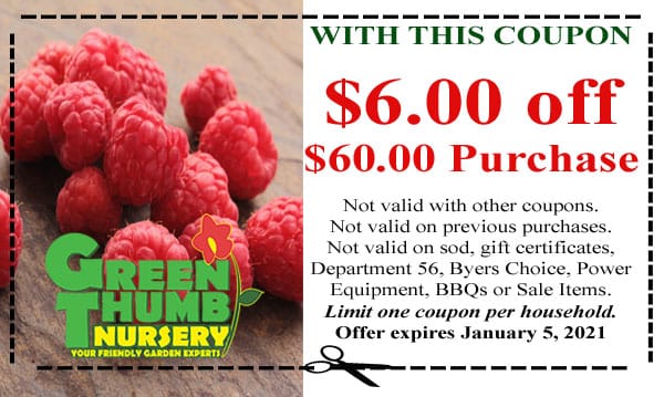 A plant nursery coupon with a picture of raspberries.