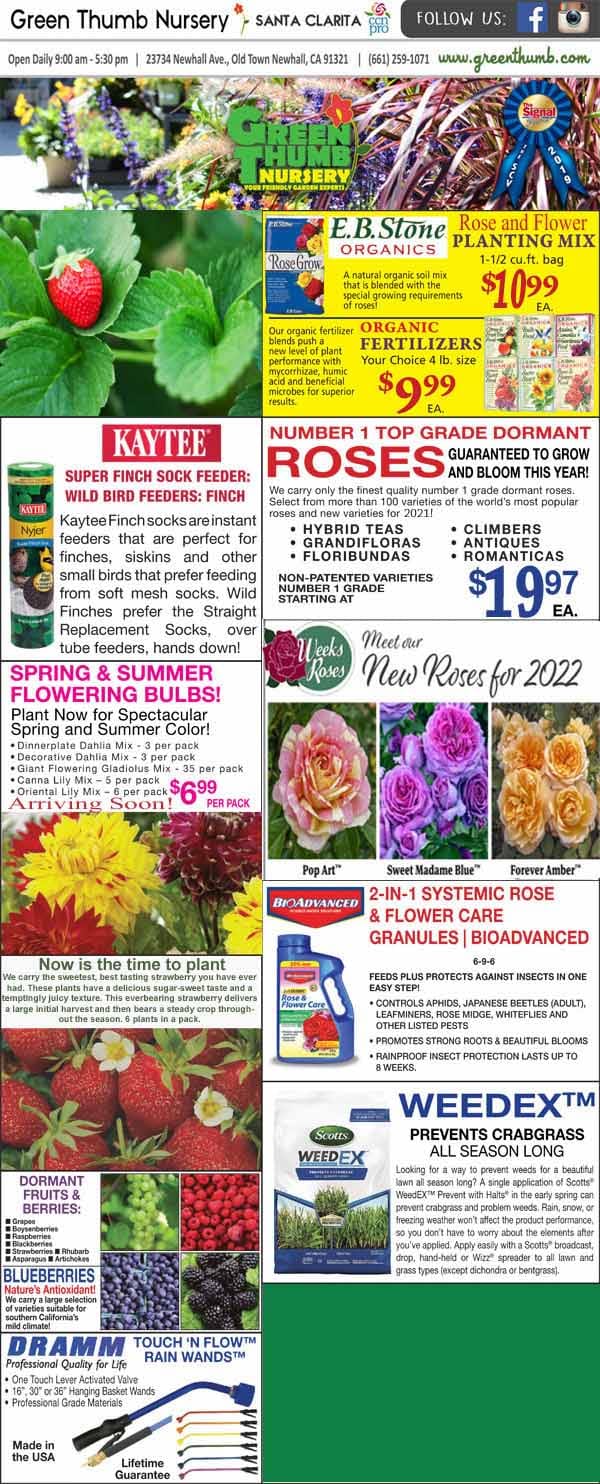 The front page of the gardener's journal featuring the best plant nursery near me.