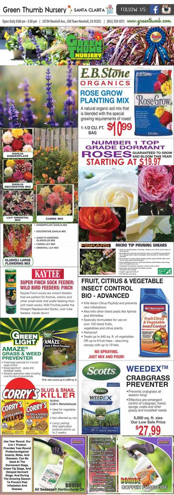 The front page of the best garden center near me showcasing green thyme gardening products and services.