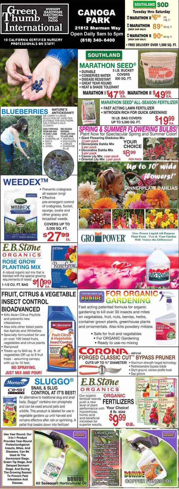 The front page of a newspaper featuring the best plant nursery and garden center near me.