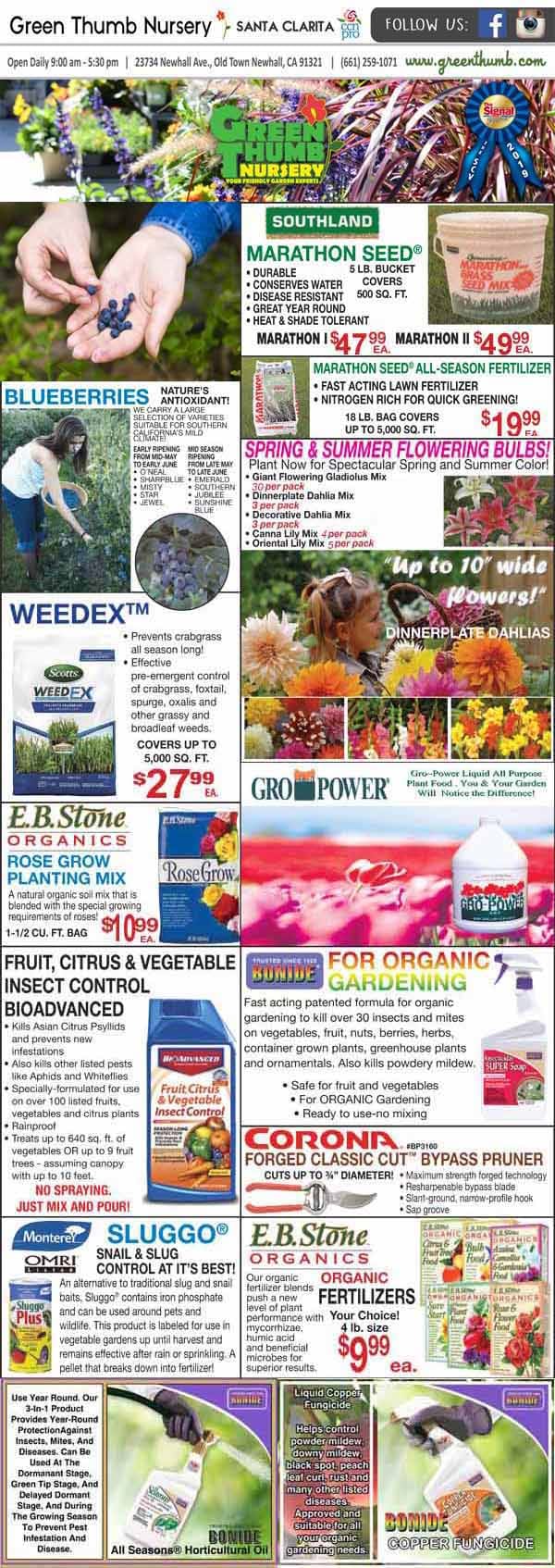 The front page of a newspaper with pictures of plants and flowers showcasing a nearby garden center and plant nursery.
