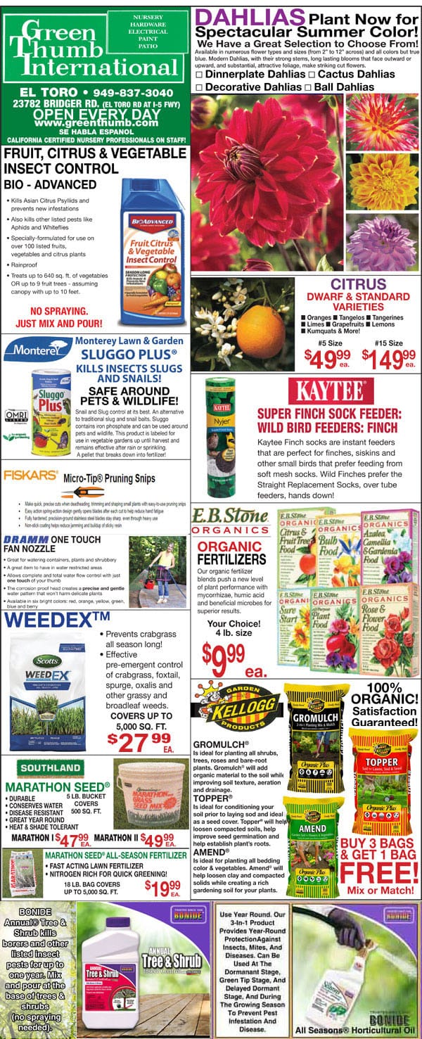 The front page of a newspaper highlighting the best garden center near me and its variety of plants and flowers.
