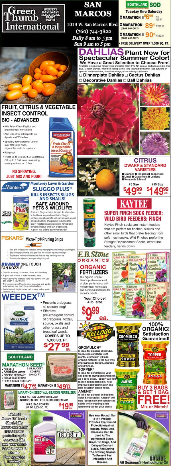 The front page of a newspaper showcasing a garden center near me with a variety of plants and flowers.