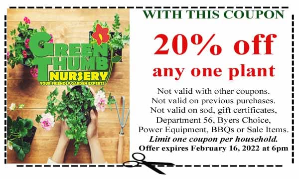 Green thing nursery 20% off coupon for the best plant nursery near me.