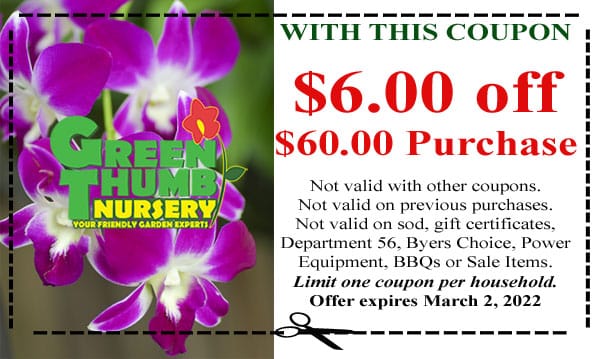 A purple orchid flower with a coupon for a green nursery near me.