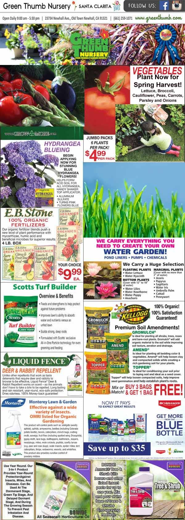 The front page of the gardener's journal focused on the best plant nursery near me.