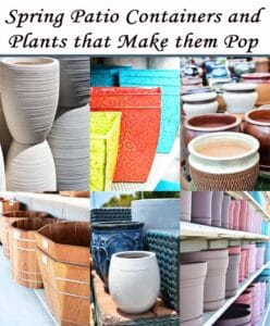 Spring patio containers and plants from the best garden center near me that make them pop.