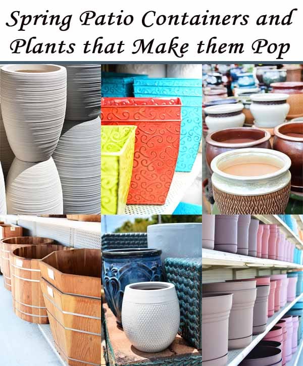 Spring patio containers and plants from the best garden center near me that make them pop.
