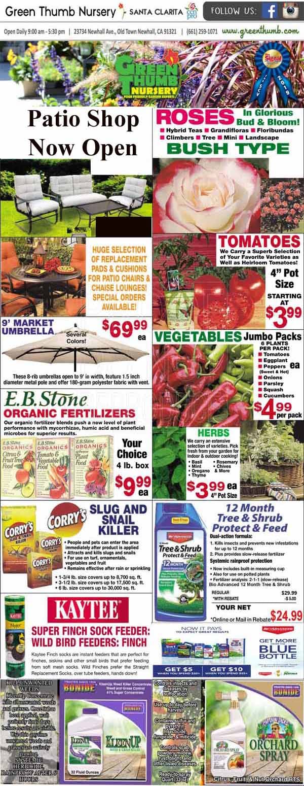 The front page of a gardening magazine featuring the best plant nursery near me.
