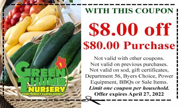 A coupon for a green nursery with a vegetable basket.