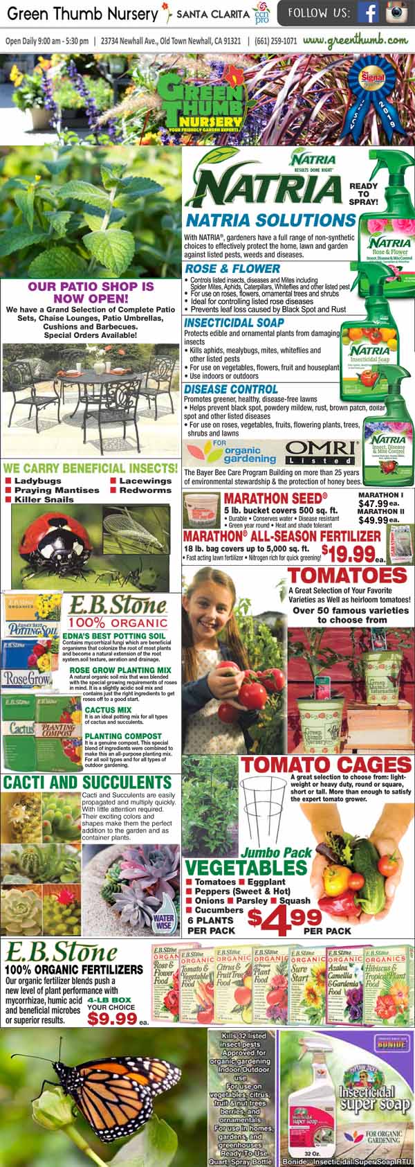 The front page of the top-rated plant nursery near me magazine.