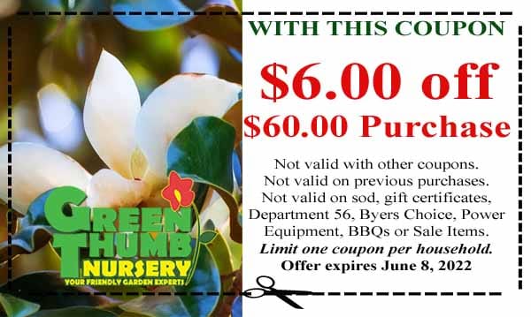 A coupon for the best plant nursery near me with a magnolia flower.