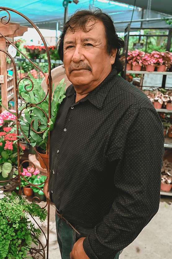 A man browsing a garden center.