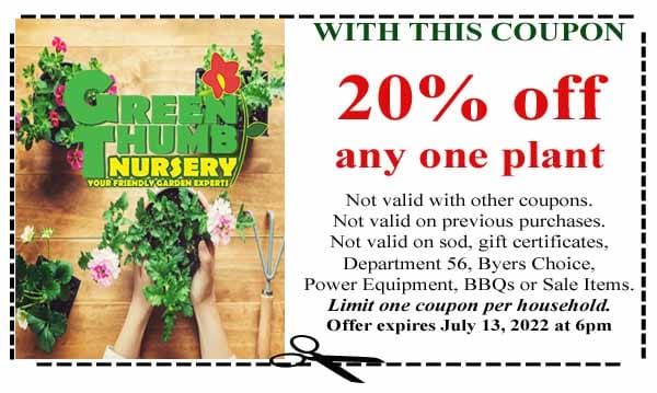 A coupon for the best green thing nursery near me.