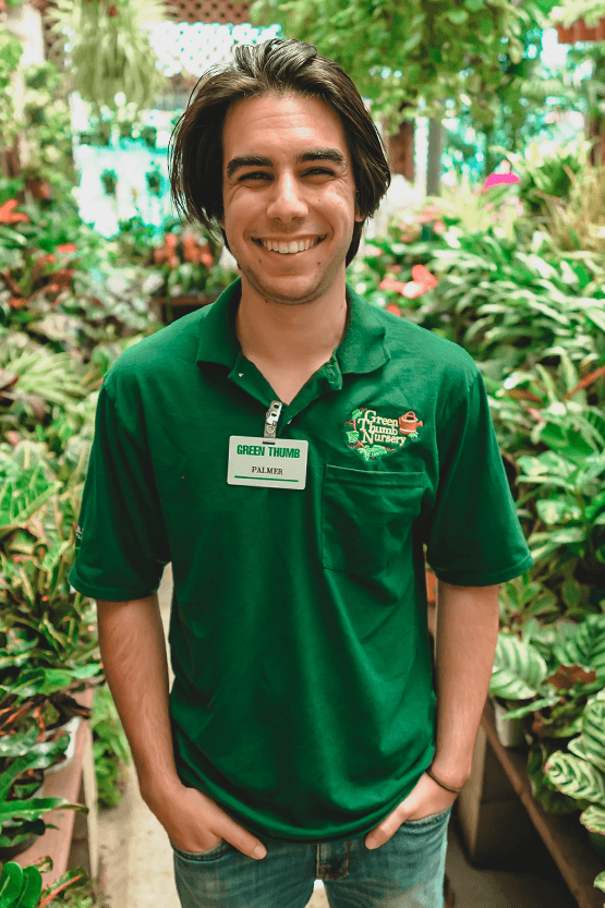A young man in a green shirt surrounded by plants in a greenhouse at the best plant nursery near me.