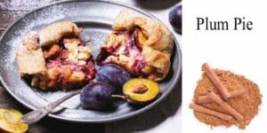 Plant nursery near me.