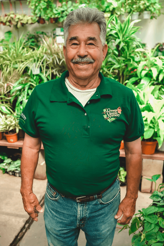 A man in a green shirt standing in front of plants at a garden center near me.