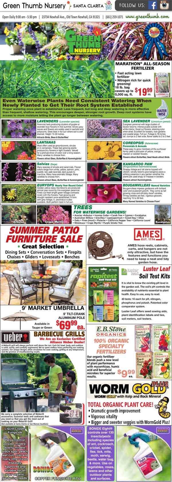 The front page of the plant nursery near me magazine.