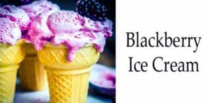 Blackberry ice cream in a cone from the best plant nursery near me.