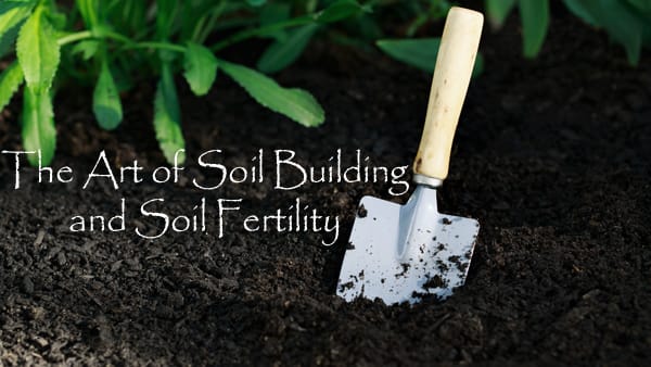 The art of soil building and nurturing soil fertility at a nearby garden center.
