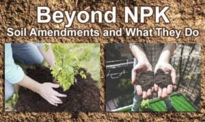 Beyond NPK soil amendments at the best plant nursery near me.