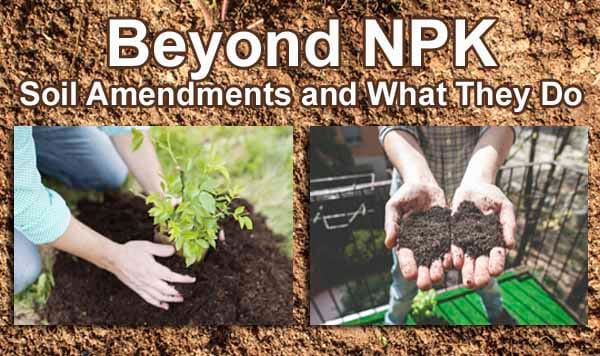 Beyond NPK soil amendments at the best plant nursery near me.