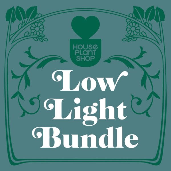 Best garden nursery with a low light bundle.