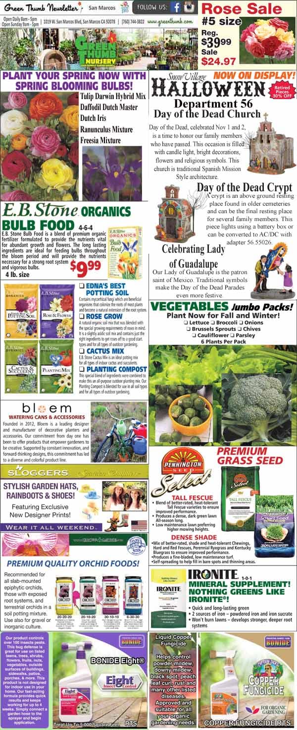 The front page of the best garden center near me's journal.