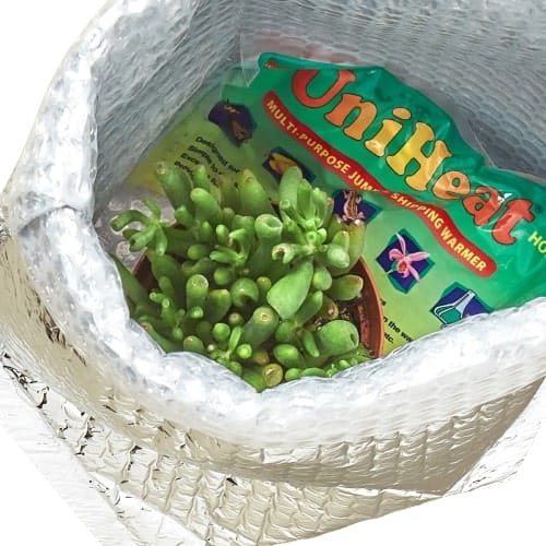 A plant nursery offering a plastic bag with a plant inside.