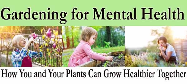 Discover how gardening for mental health can help plants grow together at the best plant nursery near me.