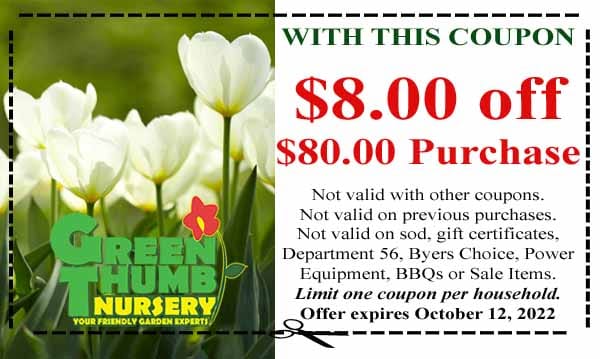 Green thumb nursery coupon is a great find for gardening enthusiasts looking for the best garden center near me or the top plant nurseries near me. Make use of this coupon at the best plant nursery near me