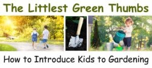 The best nursery near me teaching kids gardening.