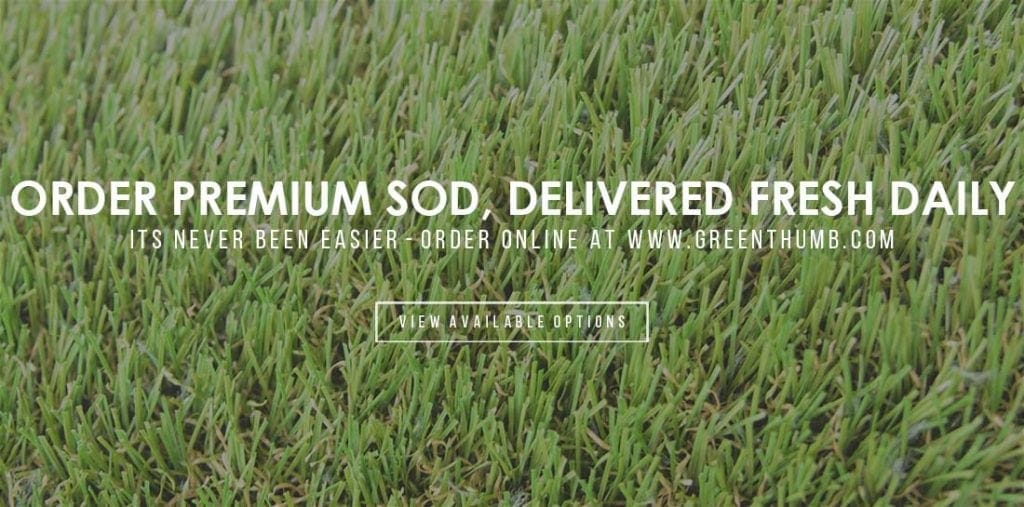 sod-online-home-page-ad-1-1024x507 (1)